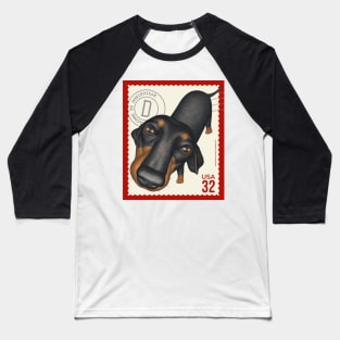 Cute Dachshund Doxie Dog looking innocent Baseball T-Shirt